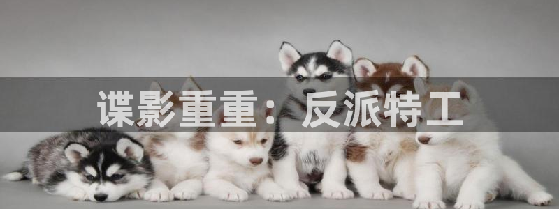 人人影院下载：谍影重重：反派特工