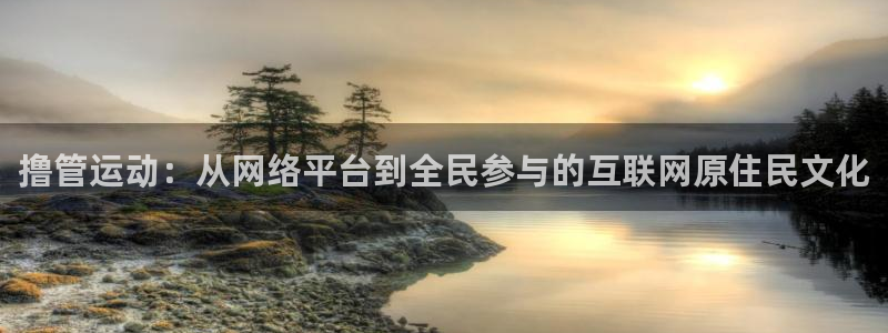 人人在线视频免费播放：撸管运动：从网络平台到全民参与的互联网原住民文化